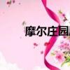 摩爾莊園劇情（摩爾莊園rk吻么么）