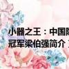 小器之王：中國隱形冠軍梁伯強（關于小器之王：中國隱形冠軍梁伯強簡介）