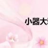 小器大雅（關于小器大雅簡介）