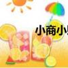 小商小販（關于小商小販簡介）