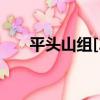 平頭山組[2]（關于平頭山組[2]介紹）