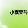 小囊果苔草（關于小囊果苔草簡介）