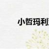 小哲瑪利亞（關于小哲瑪利亞簡介）