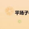 平場子村（關于平場子村介紹）