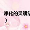 凈化的靈魂結晶代碼是多少（凈化的靈魂結晶）
