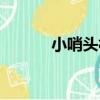 小哨頭村（關于小哨頭村簡介）