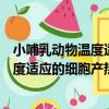小哺乳動物溫度適應的細胞產熱與調節（關于小哺乳動物溫度適應的細胞產熱與調節簡介）
