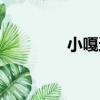 小嘎逗（關于小嘎逗簡介）