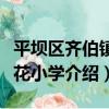平壩區齊伯鎮桃花小學（關于平壩區齊伯鎮桃花小學介紹）