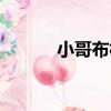 小哥布林（關于小哥布林簡介）