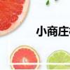 小商莊村（關于小商莊村簡介）