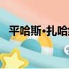 平哈斯·扎哈維（關于平哈斯·扎哈維介紹）
