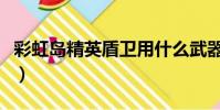彩虹島精英盾衛用什么武器(彩虹島精英盾衛)