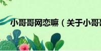 小哥哥網戀嘛(關于小哥哥網戀嘛簡介)