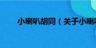小喇叭胡同(關于小喇叭胡同簡介)