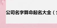 公司名字算命起名大全(公司名字算命)