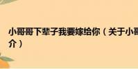 小哥哥下輩子我要嫁給你(關于小哥哥下輩子我要嫁給你簡介)