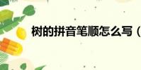 樹的拼音筆順怎么寫(樹的拼音)