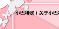 小巴特溪(關于小巴特溪簡介)