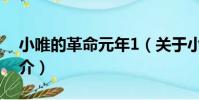 小唯的革命元年1(關于小唯的革命元年1簡介)