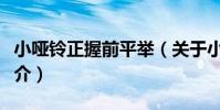 小啞鈴正握前平舉(關于小啞鈴正握前平舉簡介)