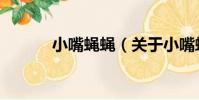 小嘴蠅蠅(關于小嘴蠅蠅簡介)