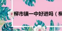 柳市鎮一中好進嗎(柳市鎮一中)