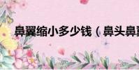 鼻翼縮小多少錢(鼻頭鼻翼縮小的價格)