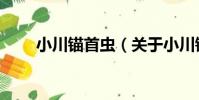 小川錨首蟲(關于小川錨首蟲簡介)