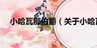 小哈瓦那伯爵(關于小哈瓦那伯爵簡介)