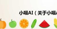 小喵AI(關于小喵AI簡介)