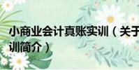 小商業會計真賬實訓(關于小商業會計真賬實訓簡介)