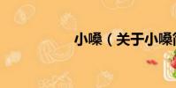 小嗓(關于小嗓簡介)