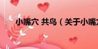 小嘴穴 共鳥(關于小嘴穴 共鳥簡介)