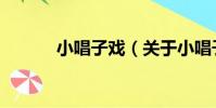 小唱子戲(關于小唱子戲簡介)