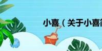 小喜(關于小喜簡介)