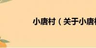小唐村(關于小唐村簡介)