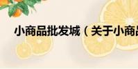 小商品批發城(關于小商品批發城簡介)