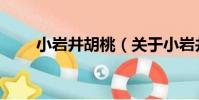 小巖井胡桃(關于小巖井胡桃簡介)