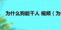 為什么狗能干人 視頻(為什么狗能干人)