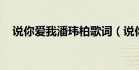 說你愛我潘瑋柏歌詞(說你愛我 潘瑋柏)