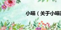 小喵(關于小喵簡介)