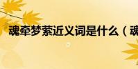 魂牽夢縈近義詞是什么(魂牽夢縈近義詞)