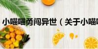 小喵喵勇闖異世(關于小喵喵勇闖異世簡介)