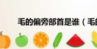 毛的偏旁部首是誰(毛的偏旁部首)