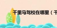 千里馬駕校在哪里(千里馬駕校)