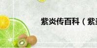 紫炎傳百科(紫炎傳)