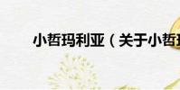 小哲瑪利亞(關于小哲瑪利亞簡介)