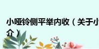 小啞鈴側平舉內收(關于小啞鈴側平舉內收簡介)