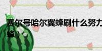 賽爾號哈爾翼蜂刷什么努力值(賽爾號哈爾翼蜂)